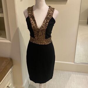 Dress the Population sequins cocktail dress
